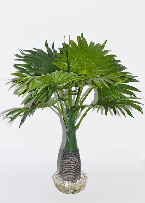 Labéo - Plante Artificielle Pour Terrarium - LABEO - Image 4