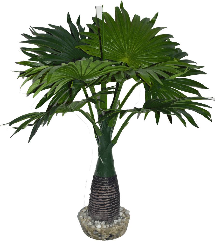 Labéo - Plante Artificielle Pour Terrarium - LABEO - Image 7