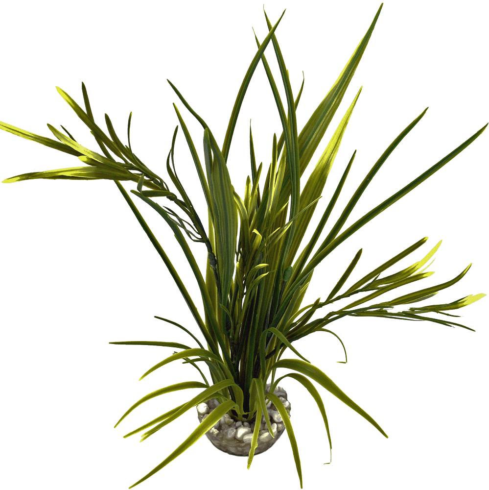 Labéo - Plante Artificielle Aquarium Plastique Vert - LABEO - Image 4