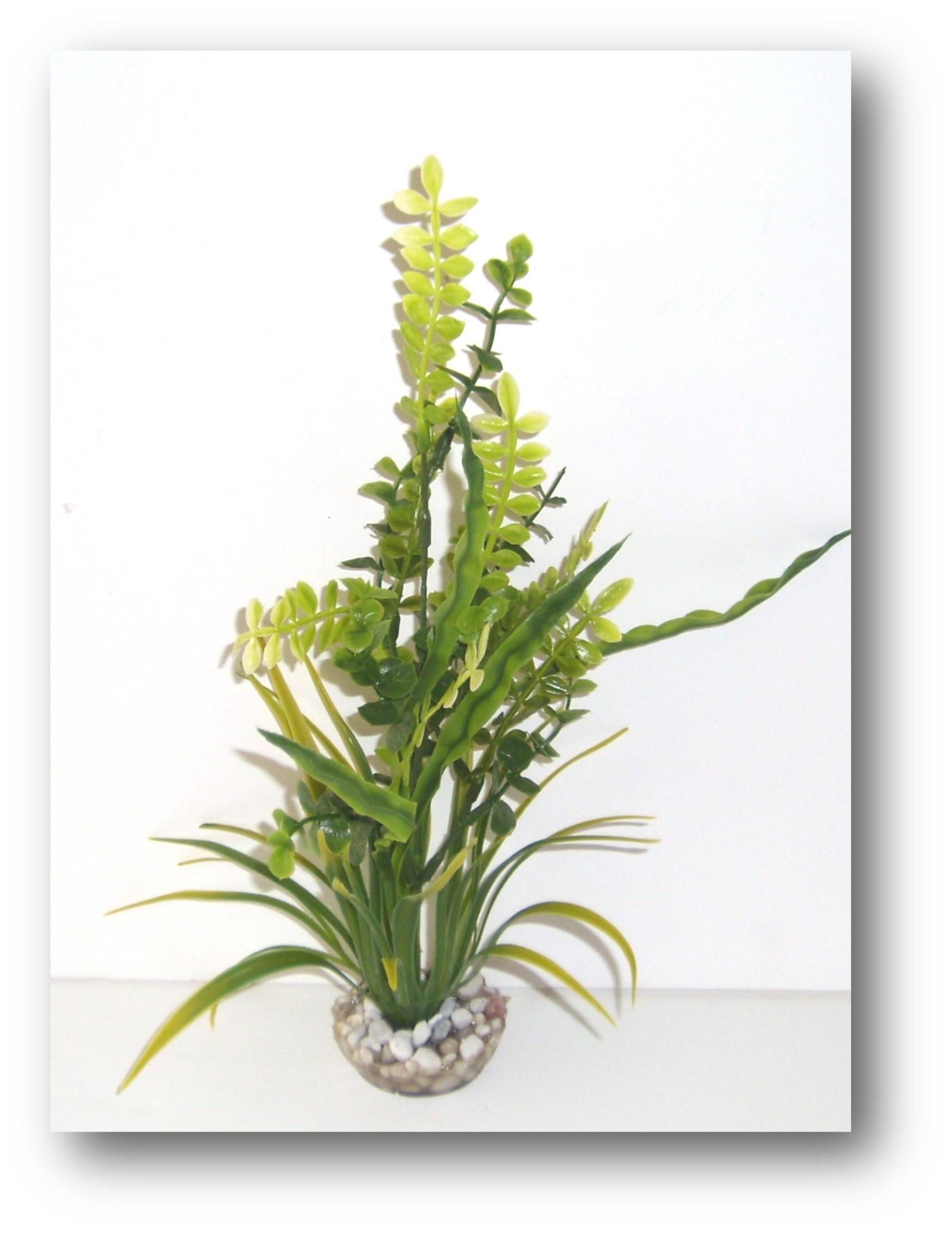 Labéo - Plante Artificielle Aquarium Plastique Vert - LABEO - Imagen 6