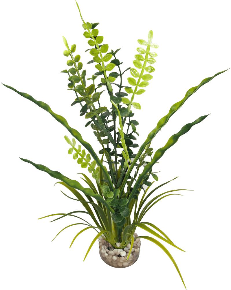 Labéo - Plante Artificielle Aquarium Plastique Vert - LABEO - Imagen 5
