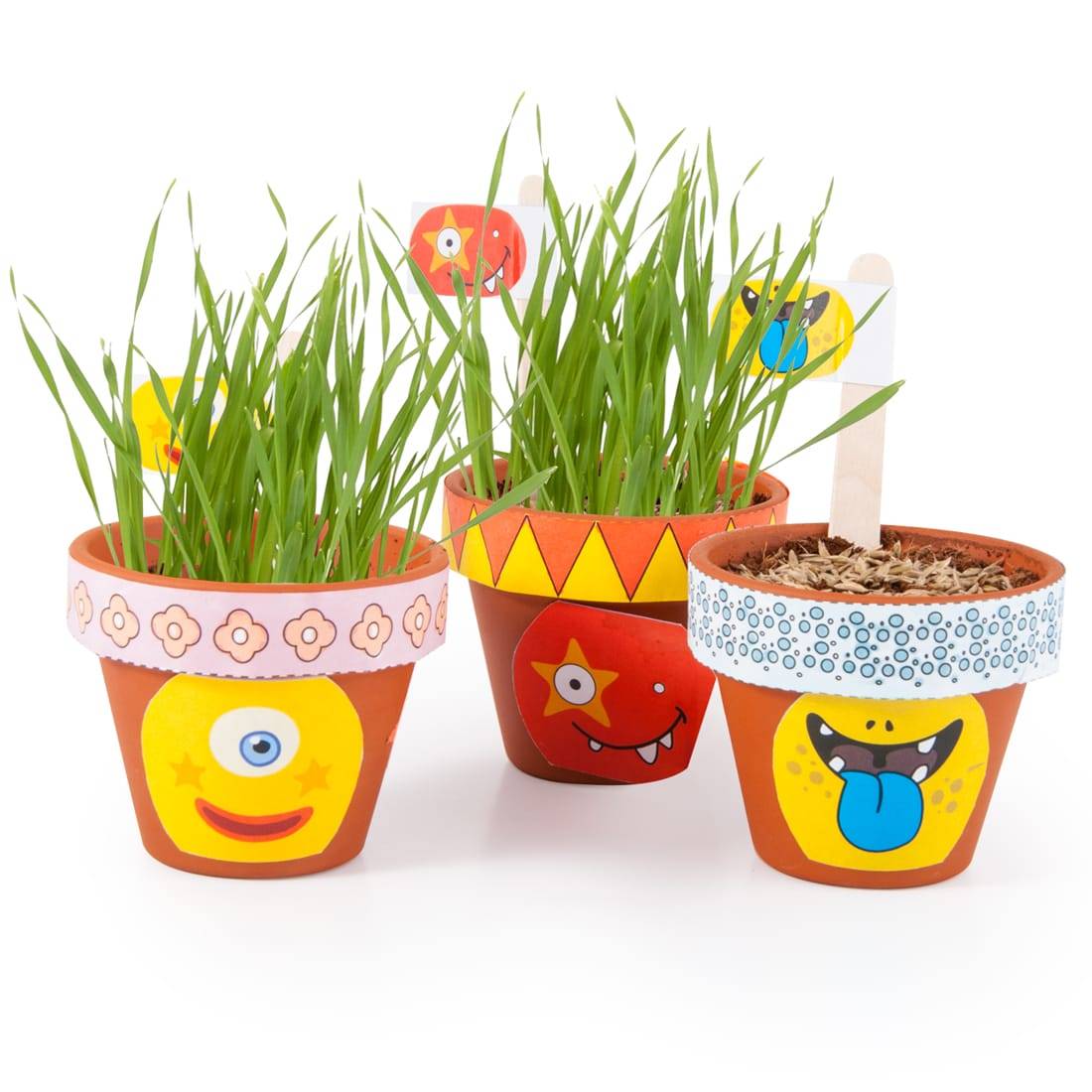 Radis et Capucine - Coffret anniversaire - 10 pots monstres - Radis et Capucine - Image 4