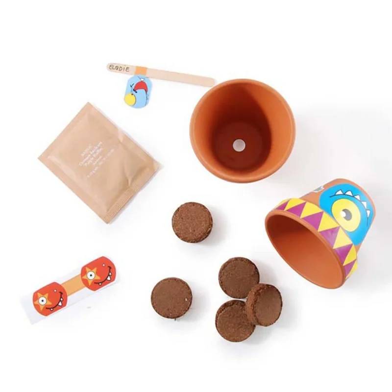 Radis et Capucine - Coffret anniversaire - 10 pots monstres - Radis et Capucine - Image 5