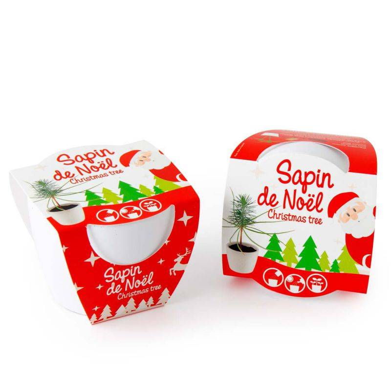 Radis et Capucine - Sapin de Noël à faire pousser dans un pot céramique blanc 8 cm