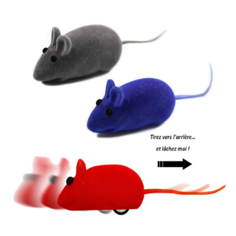 Anka - Mini ratón de fricción juguete para gato