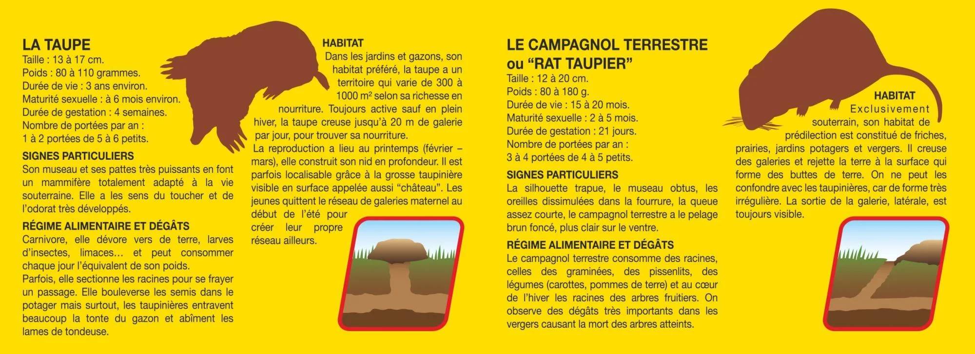 Ultrasons répulsifs taupes RETRO - Imagen 6