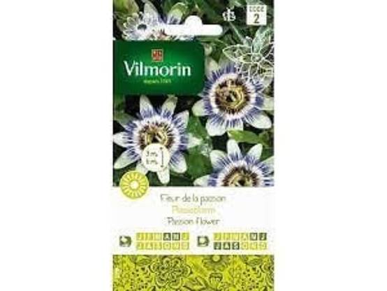 Vilmorin - Fleur de la Passion serie 2 sachet graines 0,3 g - Vilmorin - Image 5