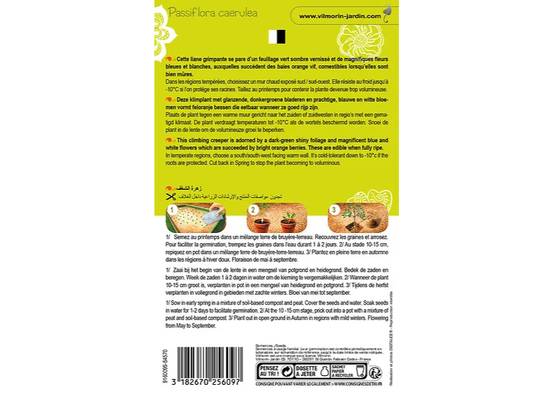 Vilmorin - Fleur de la Passion serie 2 sachet graines 0,3 g - Vilmorin - Image 4