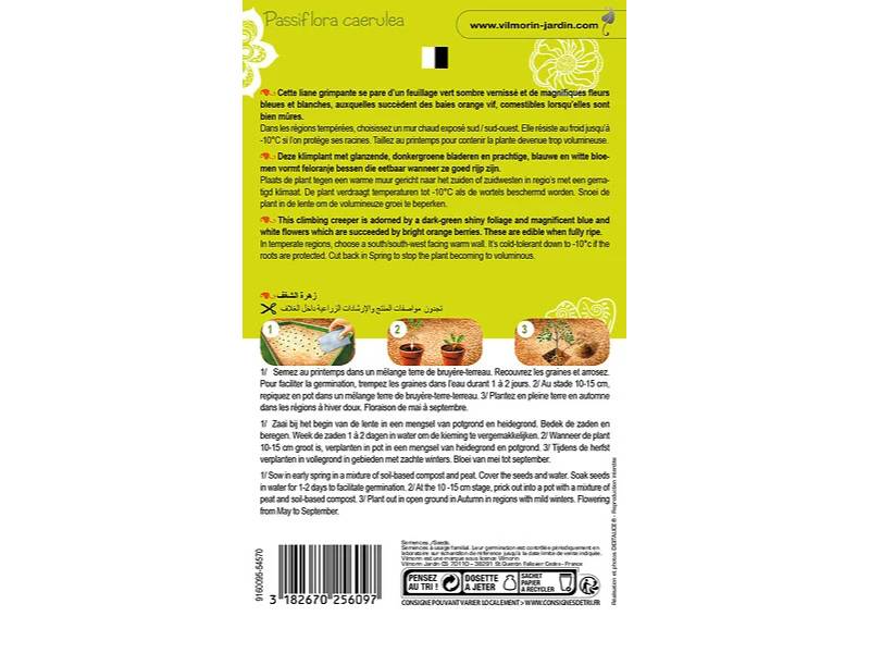 Vilmorin - Fleur de la Passion  serie 2 sachet graines 0,3 g - Vilmorin - Image 4