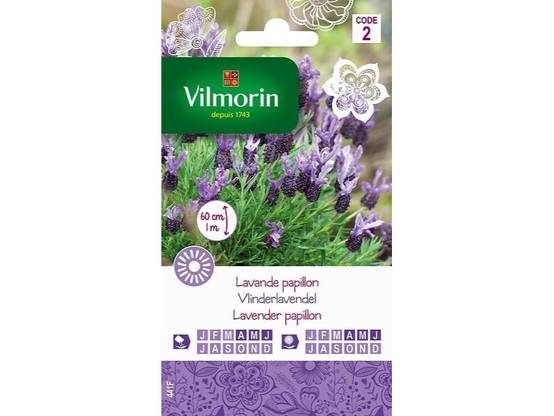 Vilmorin - Lavande Papillon serie 2 sachet graines 0,5 g - Vilmorin - Image 4