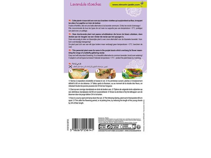 Vilmorin - Lavande Papillon serie 2 sachet graines 0,5 g - Vilmorin - Image 5