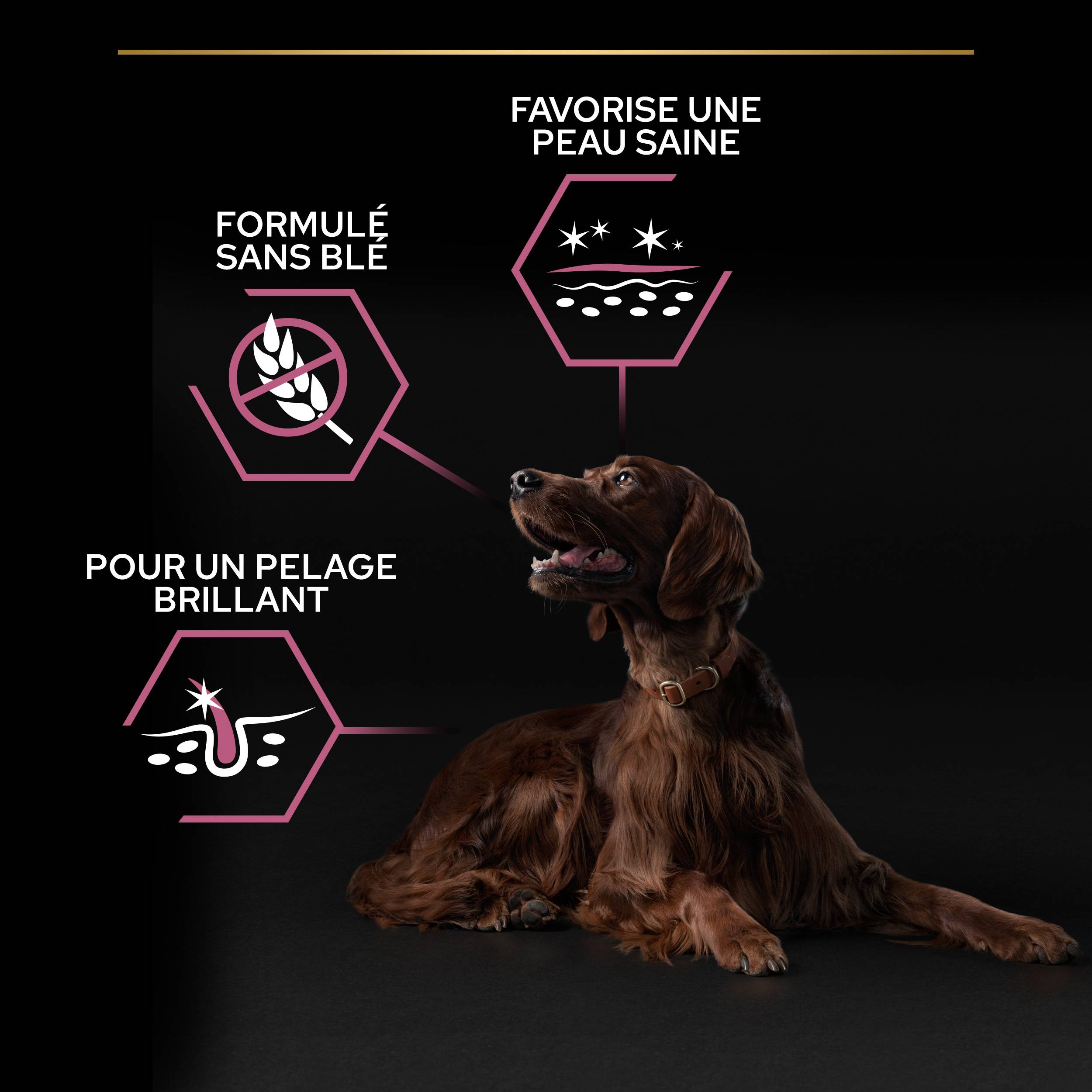 Purina Pro Plan - Croquettes chien Adulte Large Athletic Peau sensible Saumon 14 kg - PRO PLAN - Image 10