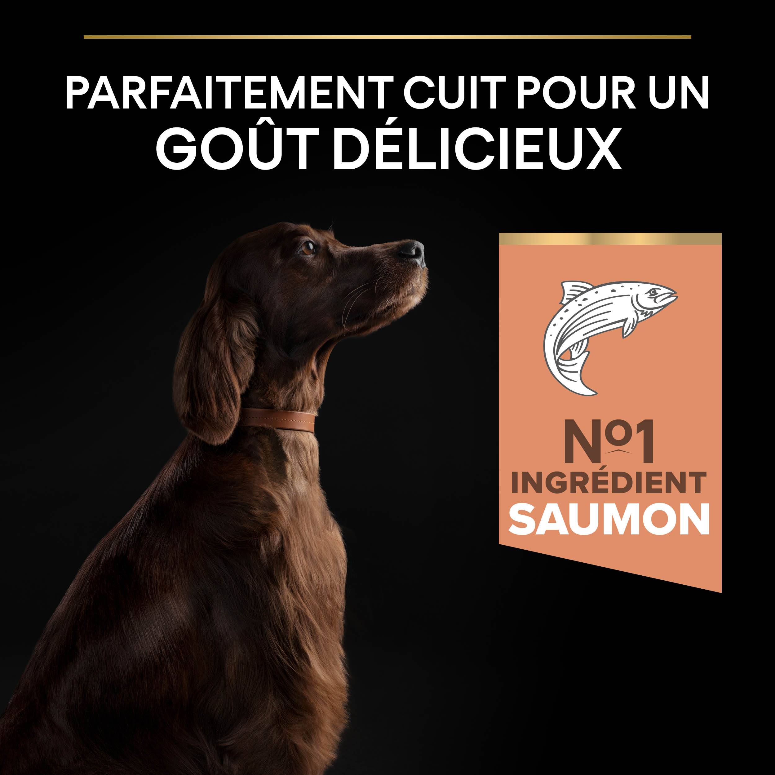 Purina Pro Plan - Croquettes chien Adulte Large Athletic Peau sensible Saumon 14 kg - PRO PLAN - Image 7
