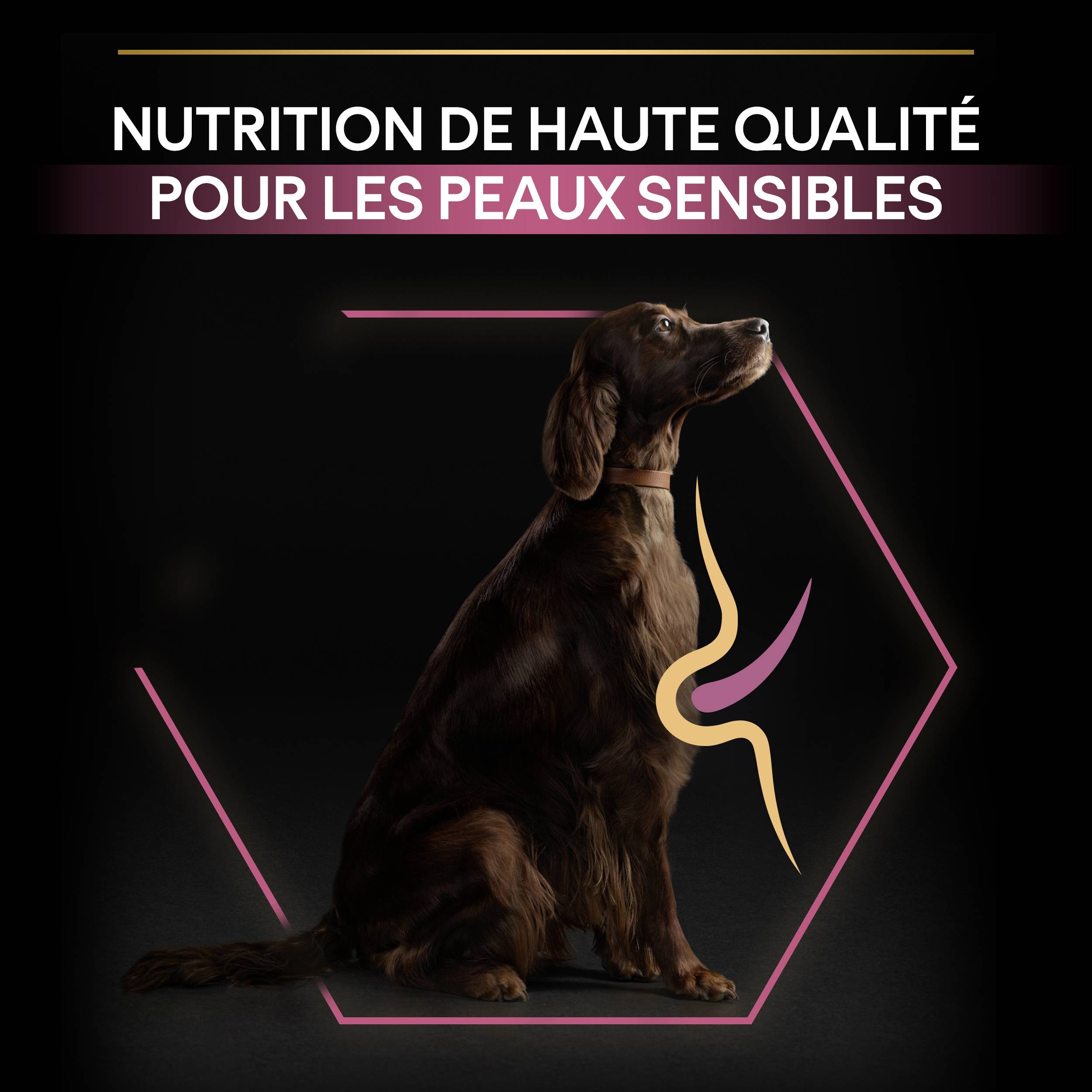 Purina Pro Plan - Croquettes chien Adulte Large Athletic Peau sensible Saumon 14 kg - PRO PLAN - Image 6