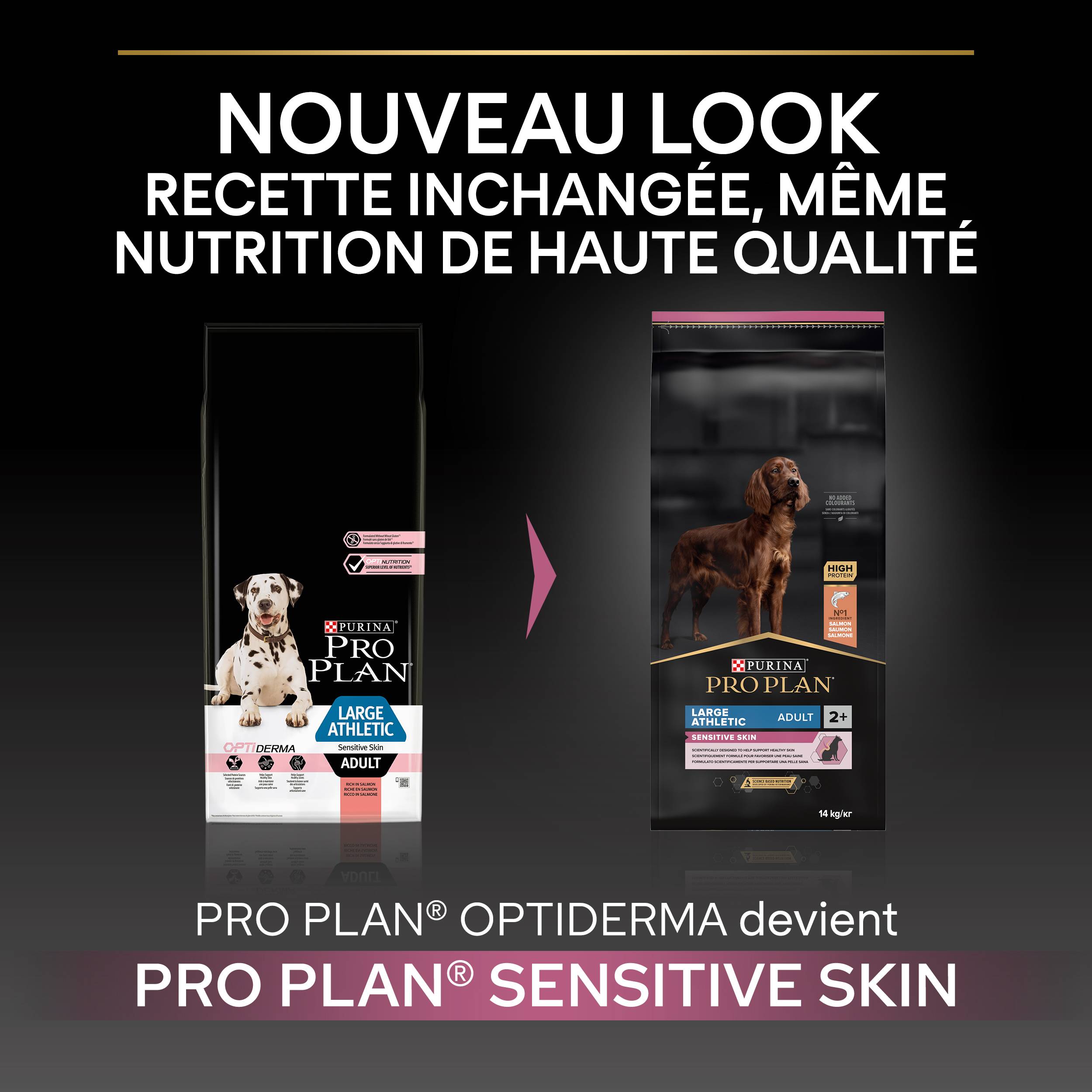 Purina Pro Plan - Croquettes chien Adulte Large Athletic Peau sensible Saumon 14 kg - PRO PLAN - Image 4