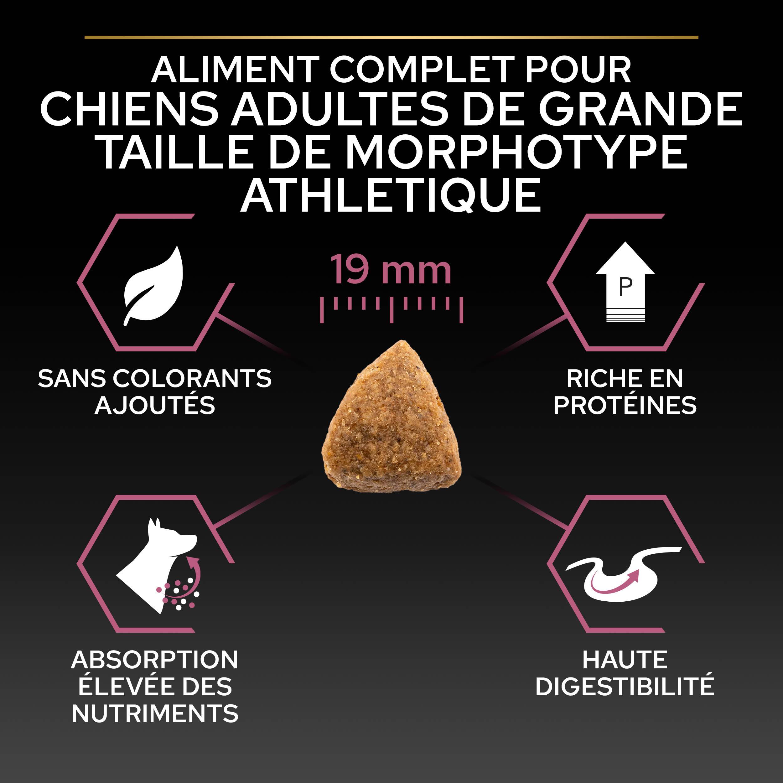 Purina Pro Plan - Croquettes chien Adulte Large Athletic Peau sensible Saumon 14 kg - PRO PLAN - Image 5