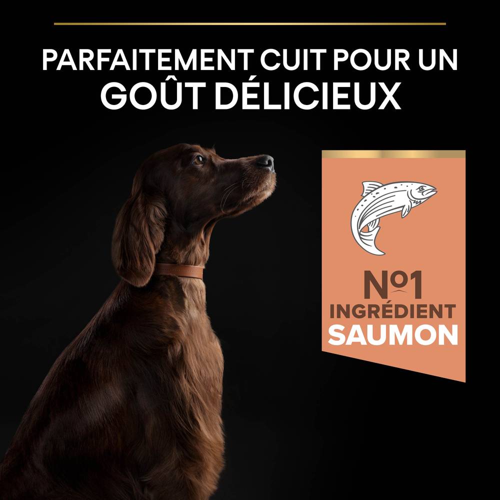 Purina Pro Plan - Croquettes chien Adulte Large Athletic Peau sensible Saumon 14 kg - PRO PLAN - Image 11