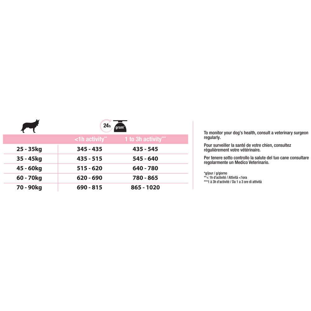 Purina Pro Plan - Croquettes chien Adulte Large Athletic Peau sensible Saumon 14 kg - PRO PLAN - Image 12