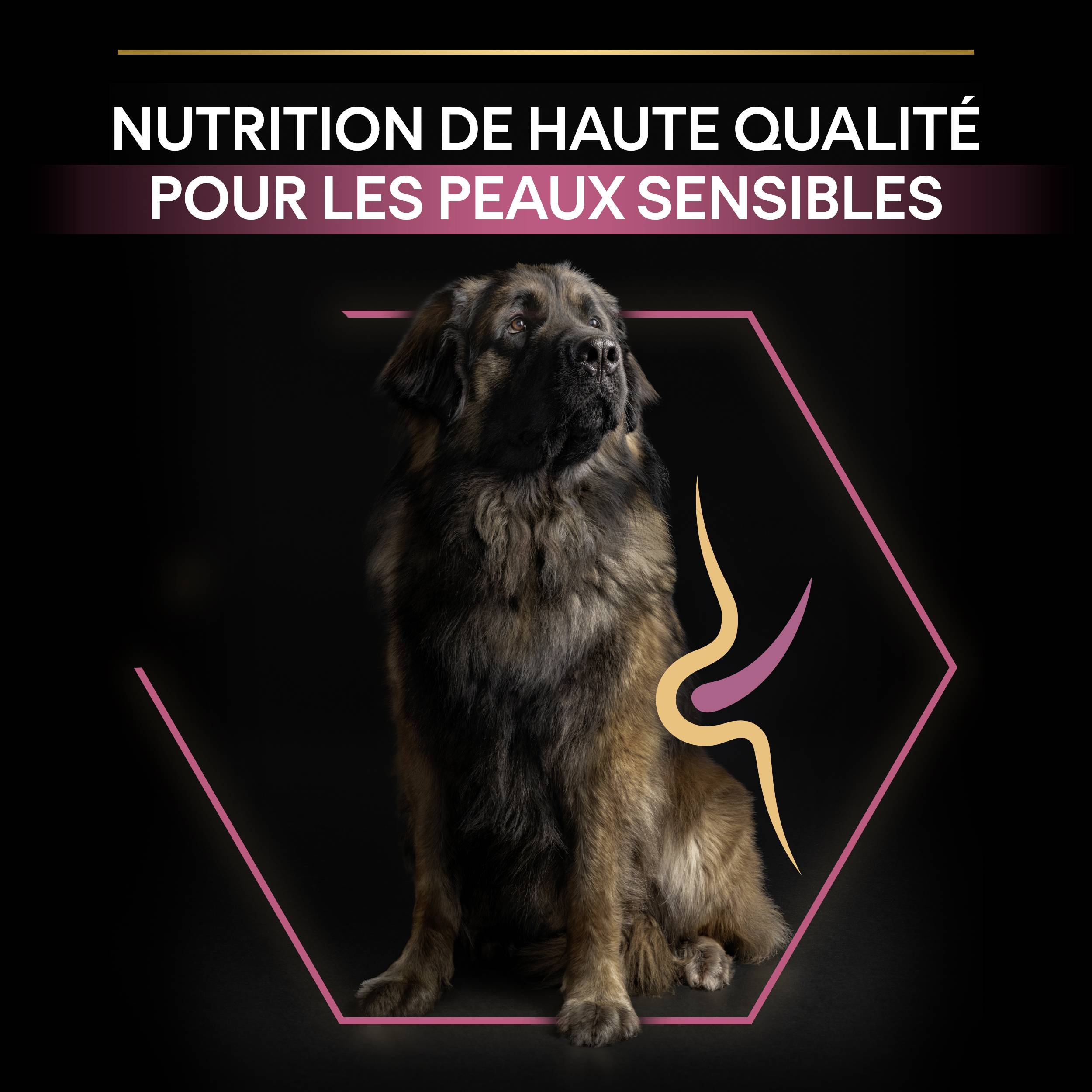 Purina Pro Plan - Croquettes chien Large Adulte Sensitive Skin Saumon 14 kg  - PRO PLAN - Image 4