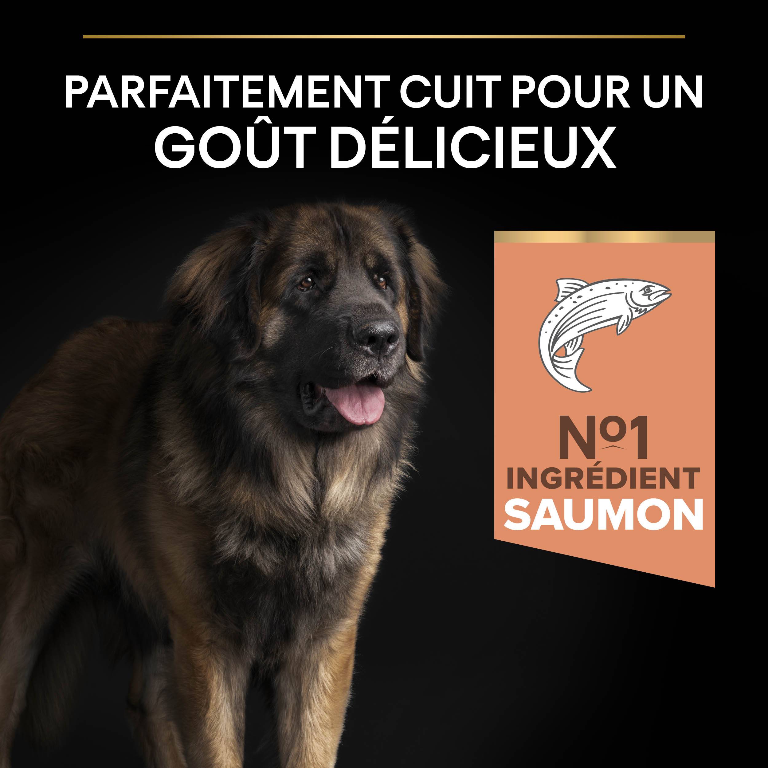 Purina Pro Plan - Croquettes chien Large Adulte Sensitive Skin Saumon 14 kg  - PRO PLAN - Image 7