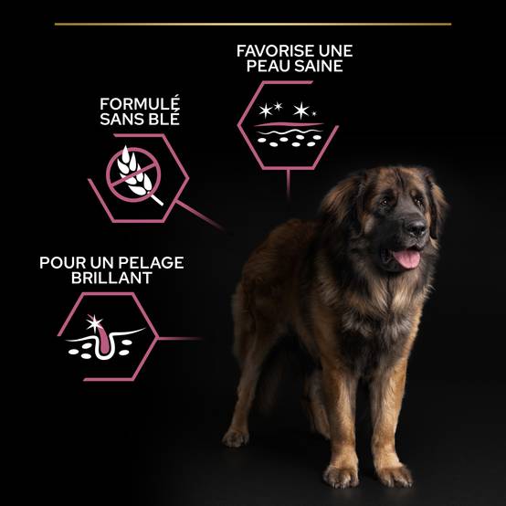Purina Pro Plan - Croquettes chien Large Adulte Sensitive Skin Saumon 14 kg - PRO PLAN - Image 10