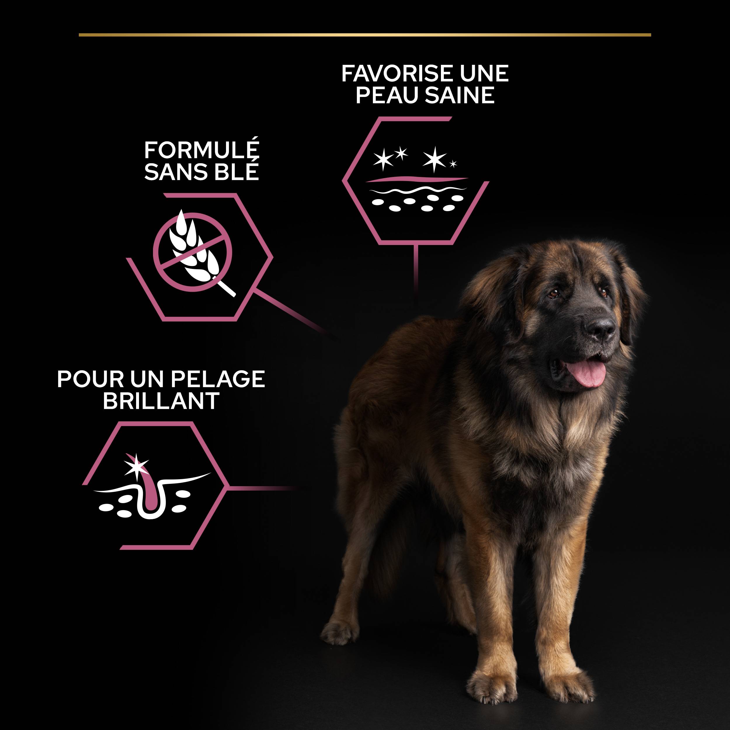 Purina Pro Plan - Croquettes chien Large Adulte Sensitive Skin Saumon 14 kg  - PRO PLAN - Image 10