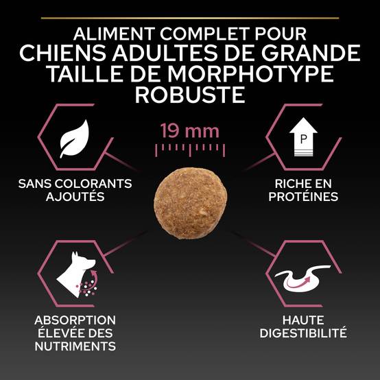 Purina Pro Plan - Croquettes chien Large Adulte Sensitive Skin Saumon 14 kg - PRO PLAN - Image 8