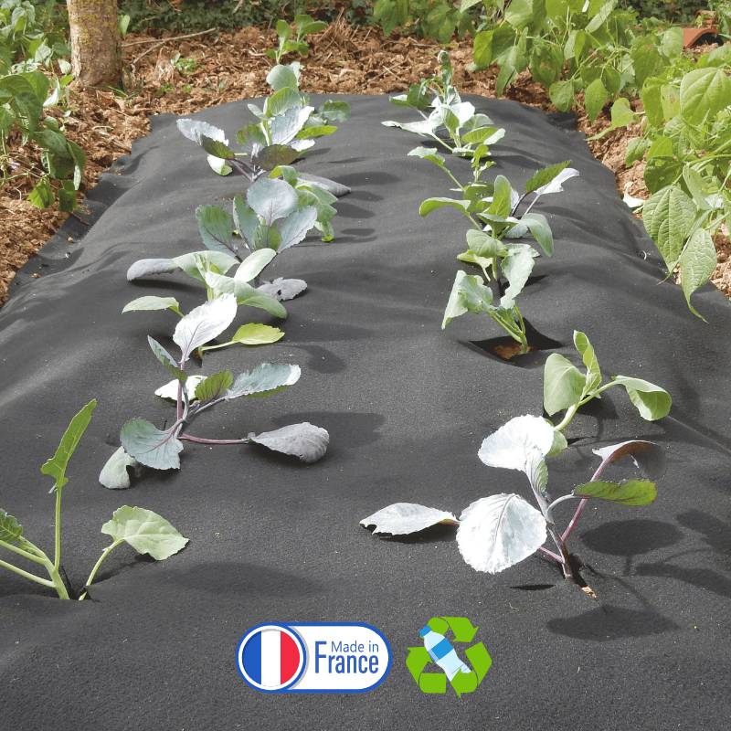 Gardenova - Feutre de culture pour potager 1x3 m - Imagen 2