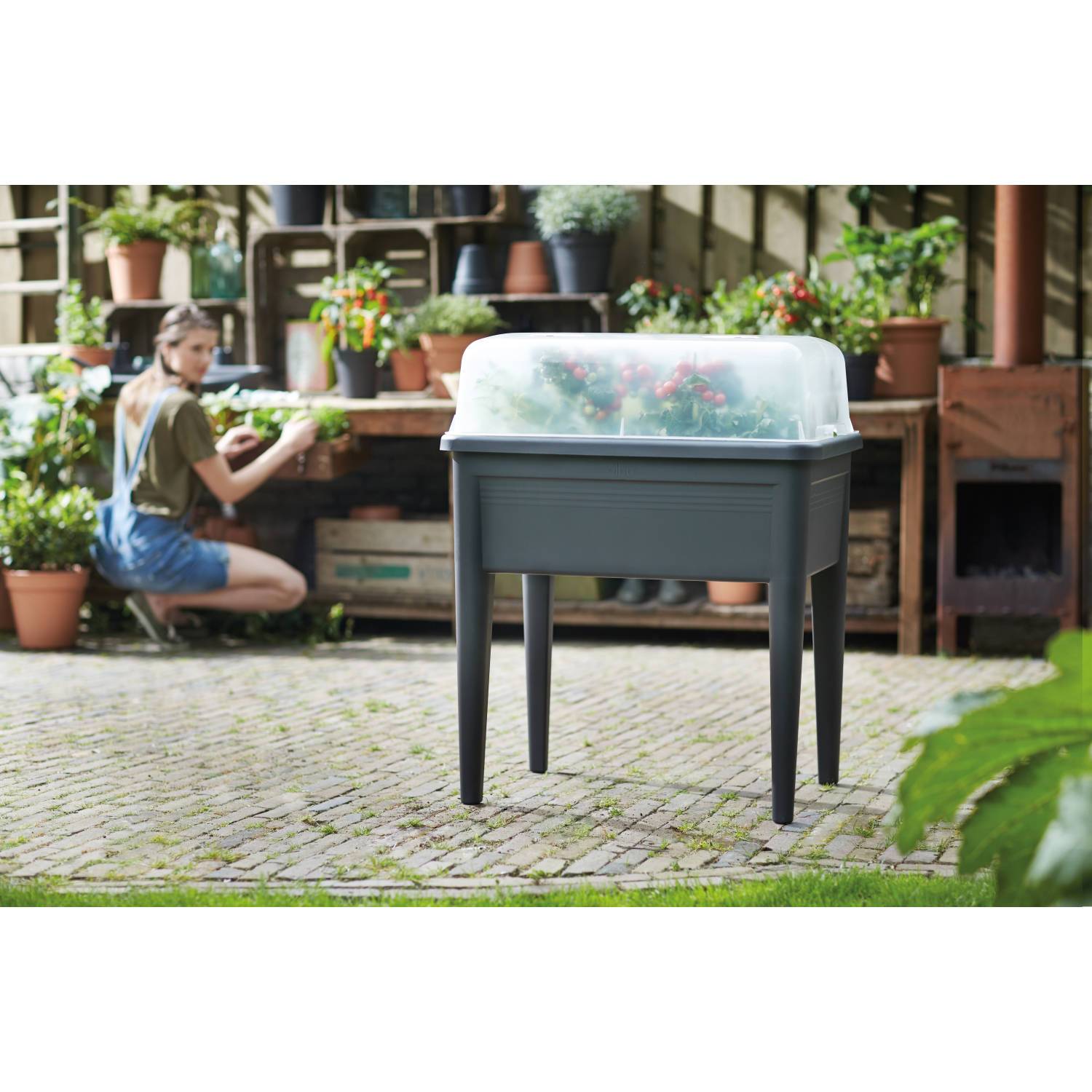 Elho - Elho - Couvercle pour carré potager sur pieds XXL - Image 7