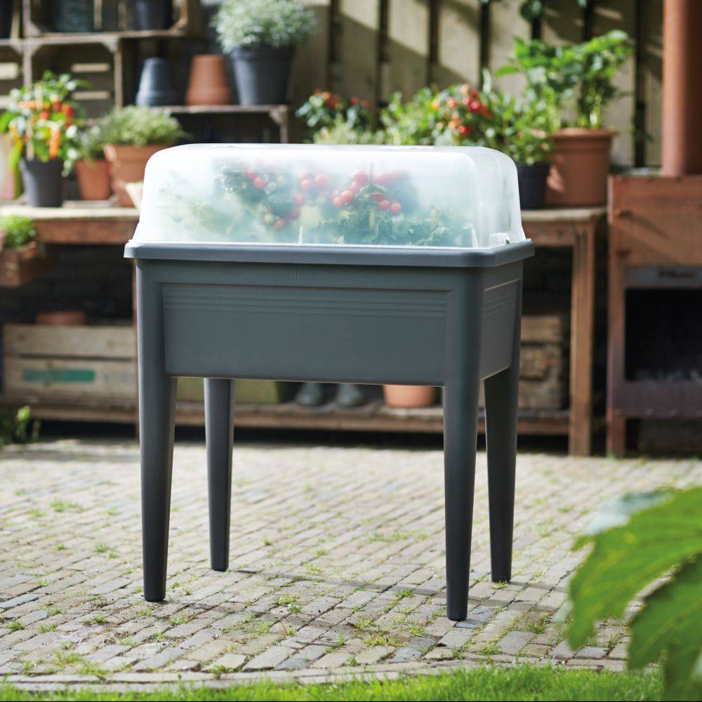 Elho - Potager sur pieds Green Basics – ELHO - Image 7