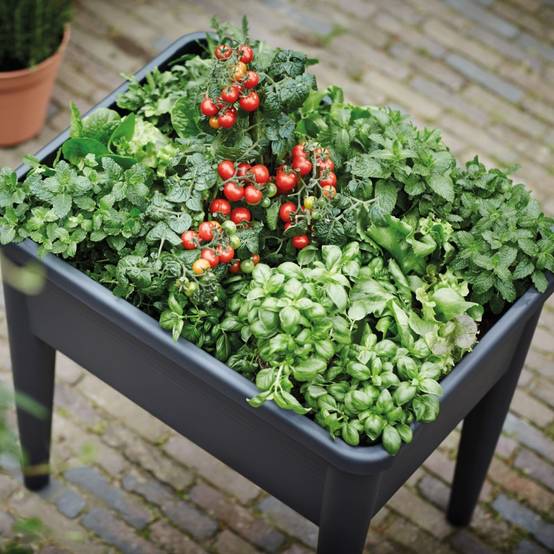 Elho - Potager sur pieds Green Basics – ELHO - Image 6