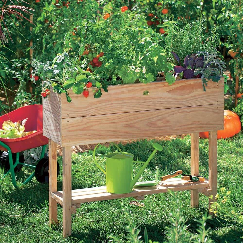Robin Hood® - Potager sur pied bois mélèze huilé – KID - Image 6