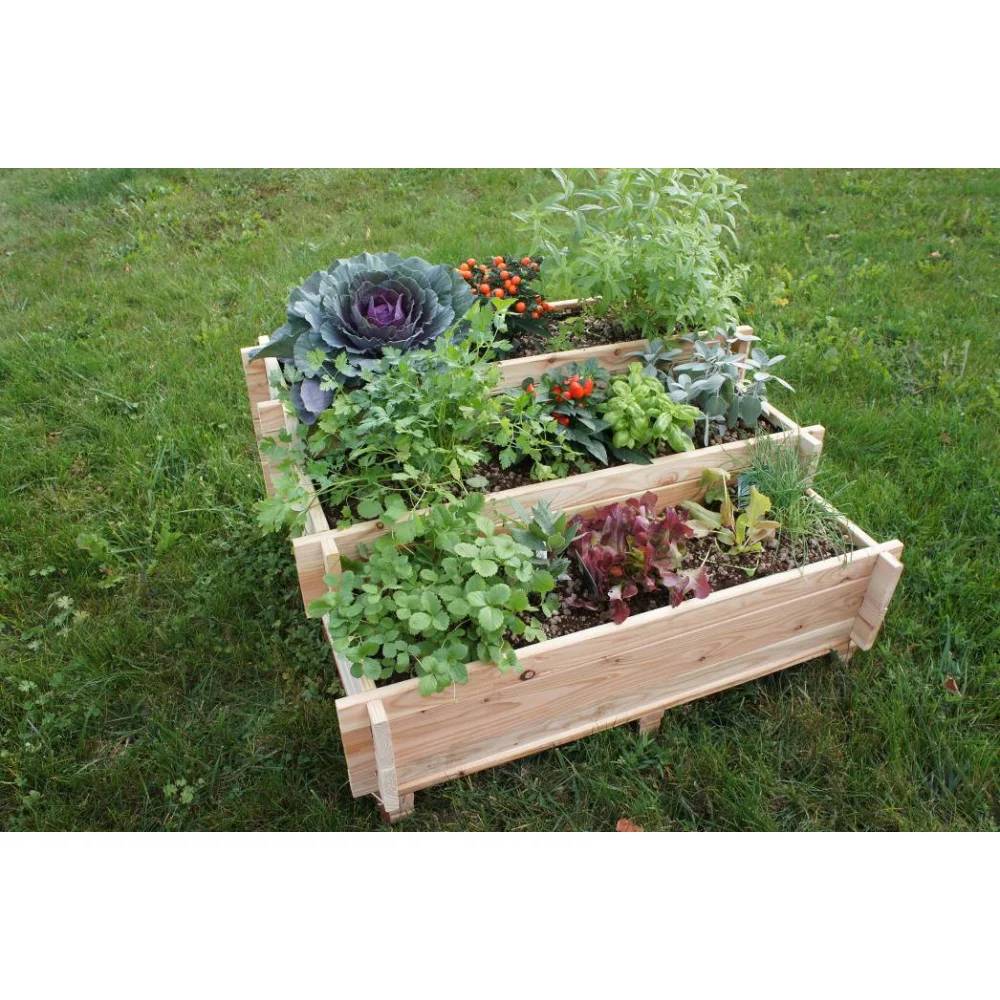 Robin Hood® - Potager Escalier Mélèze - Image 6