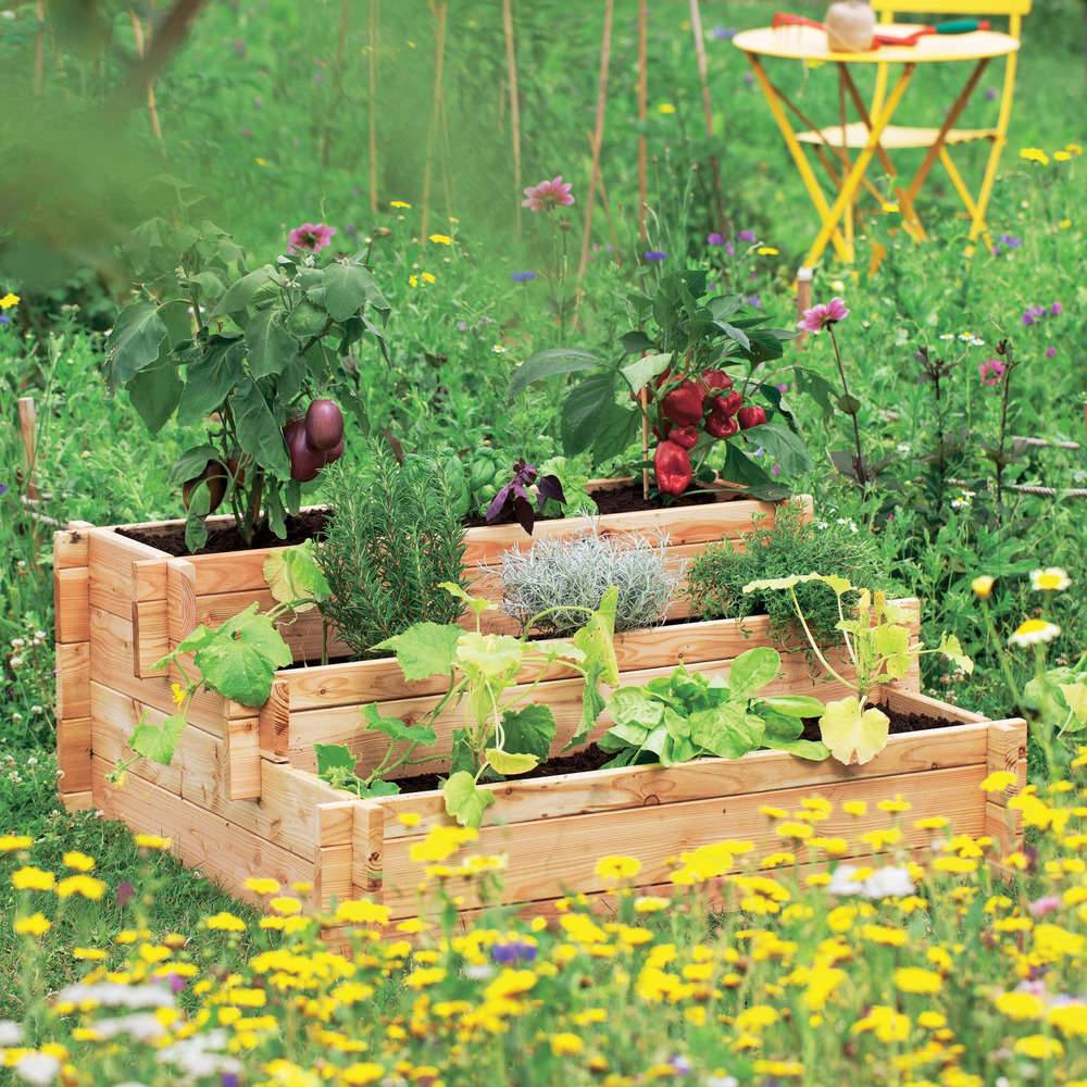 Robin Hood® - Potager Escalier Mélèze - Image 8