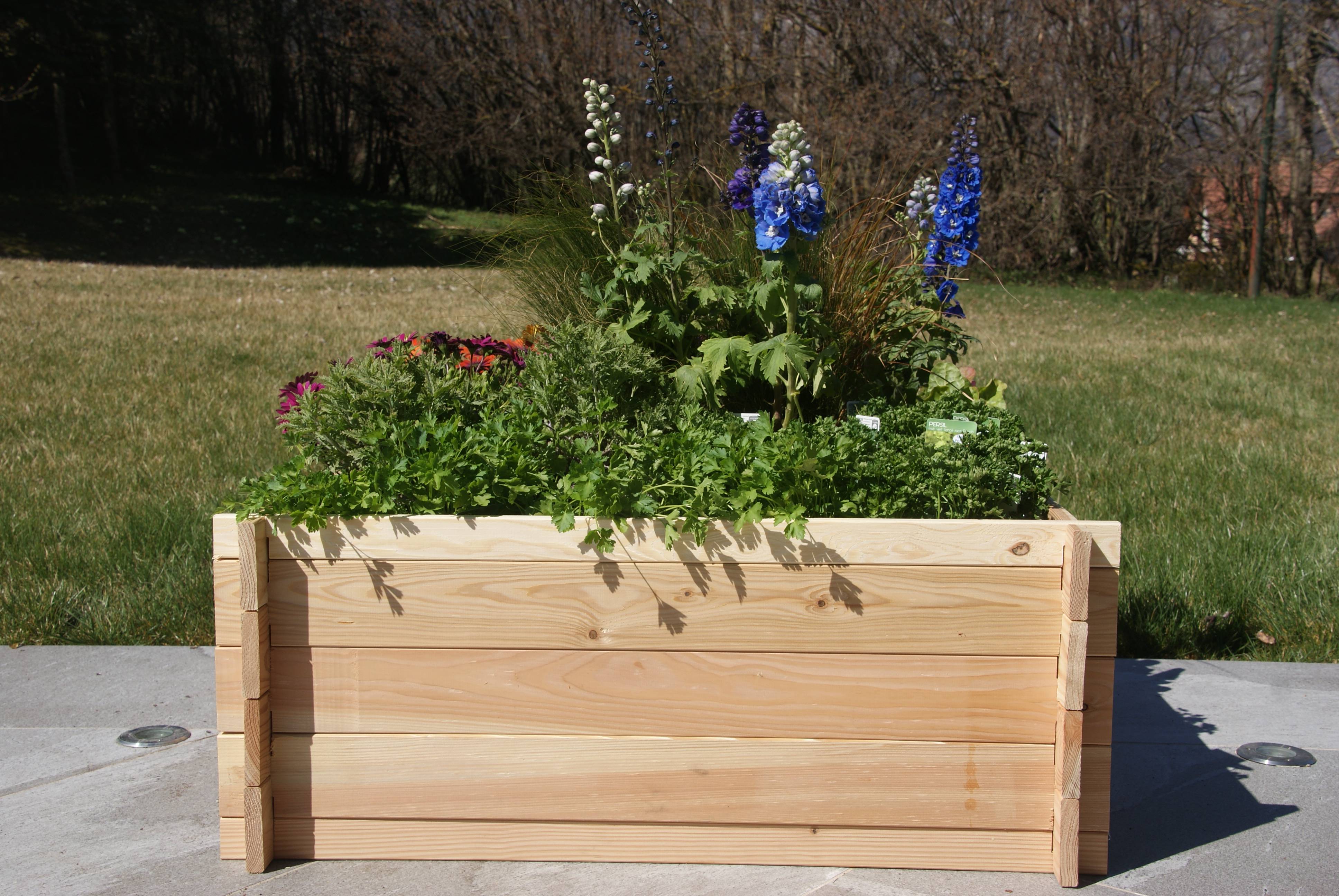 Robin Hood® - Bac Potager Bois Massif FSC - ROBIN HOOD - Imagen 4