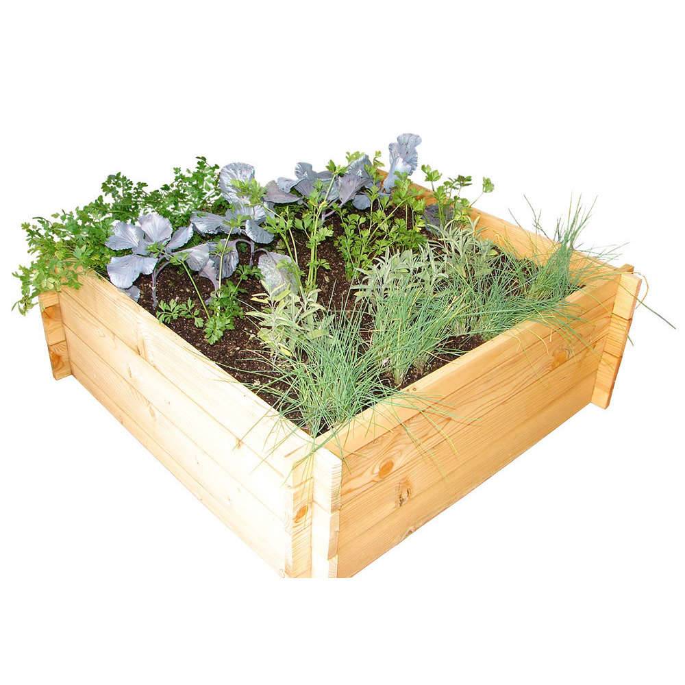 Robin Hood® - Bac Potager Bois Massif FSC - ROBIN HOOD - Imagen 6
