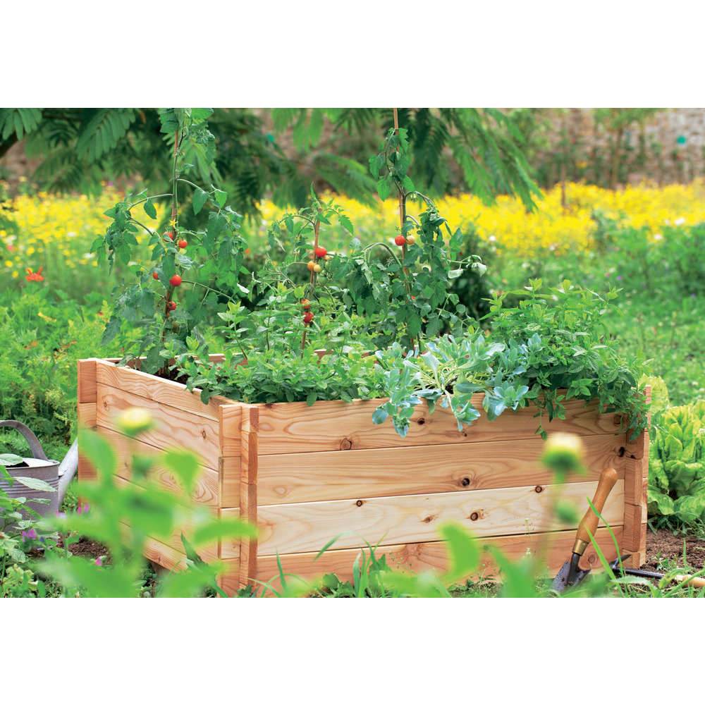Robin Hood® - Bac Potager Bois Massif FSC - ROBIN HOOD - Imagen 7