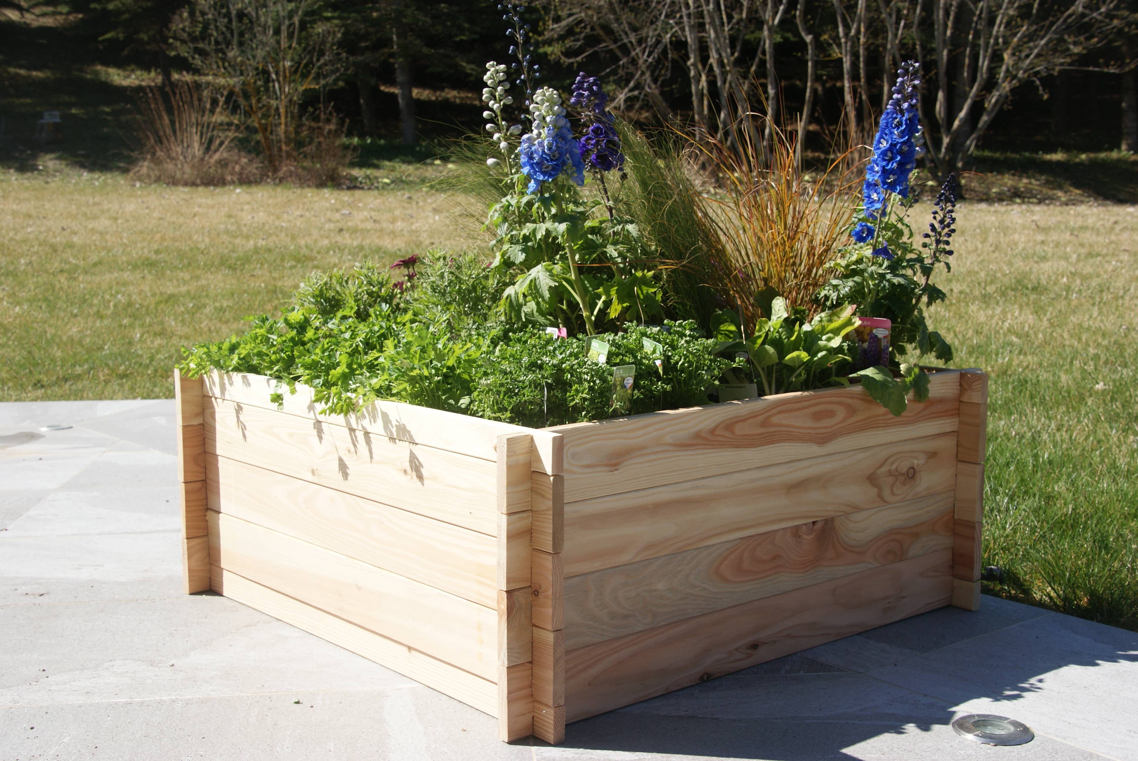 Robin Hood® - Bac Potager Bois Massif FSC - ROBIN HOOD - Imagen 2