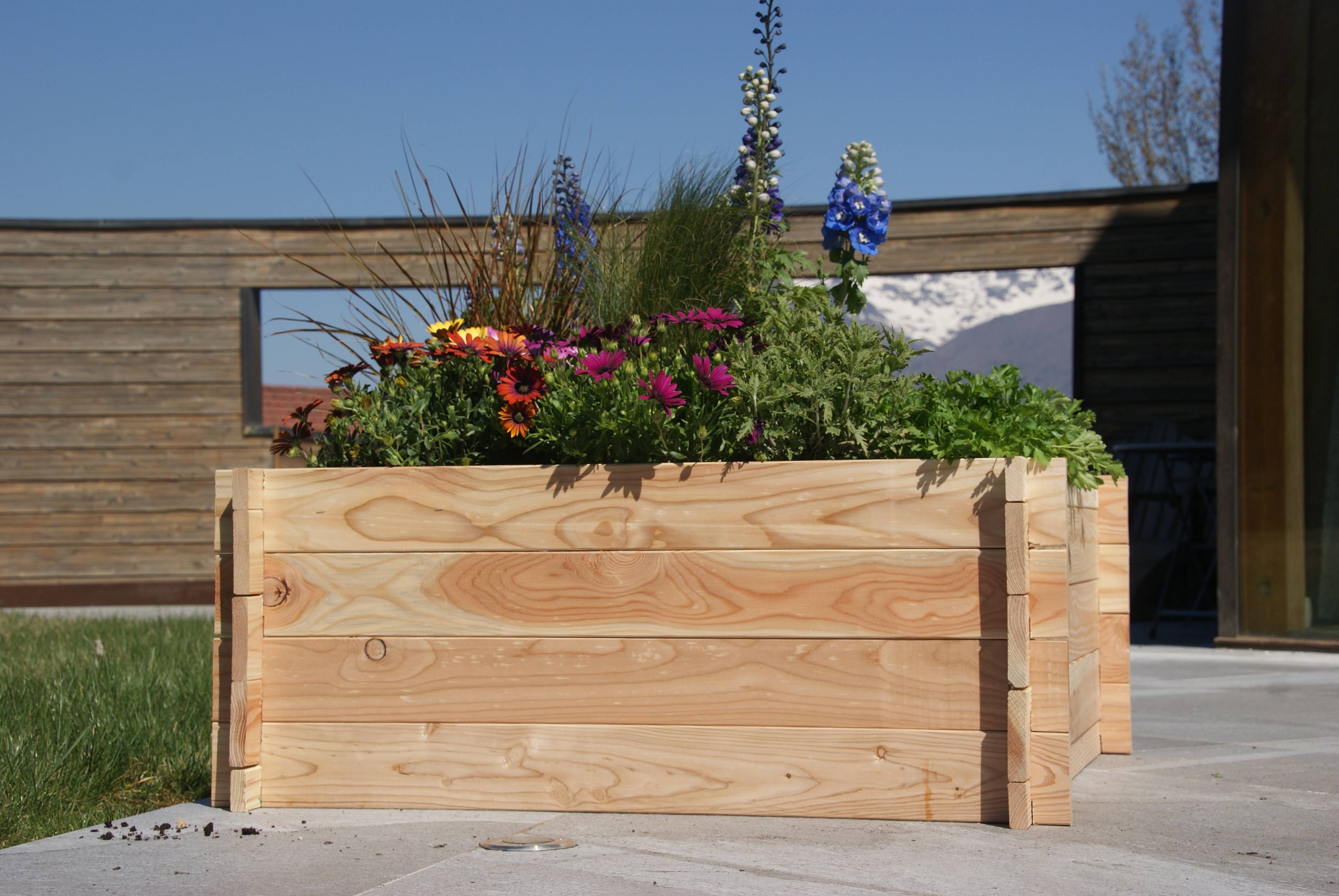 Robin Hood® - Bac Potager Bois Massif FSC - ROBIN HOOD - Imagen 1