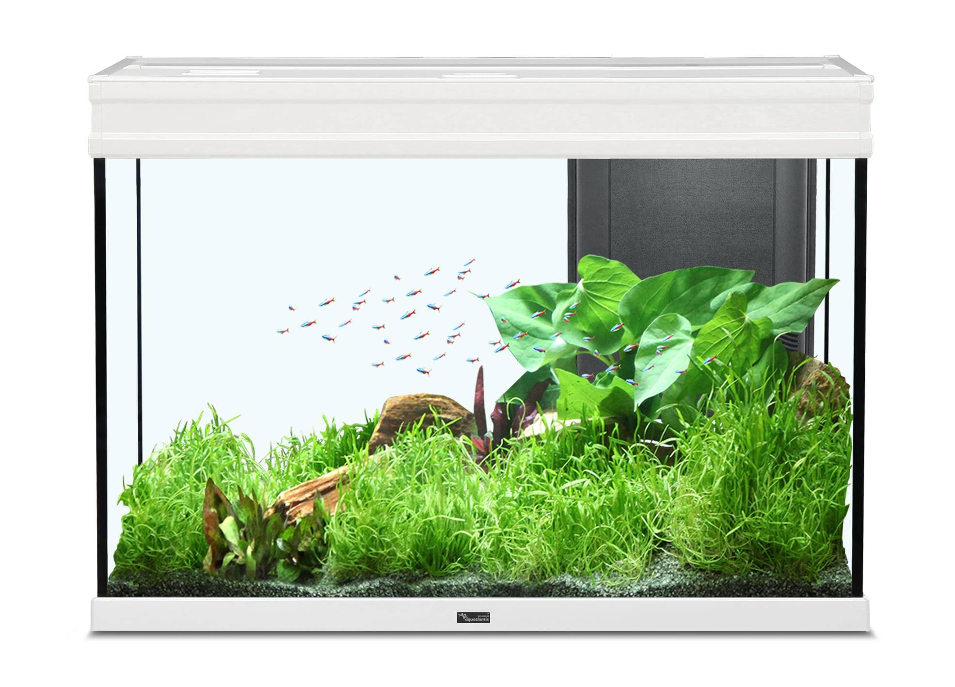 Zolux - Aquarium Élégance Expert Blanc 80L - L.81 x l.40 x H.55 cm