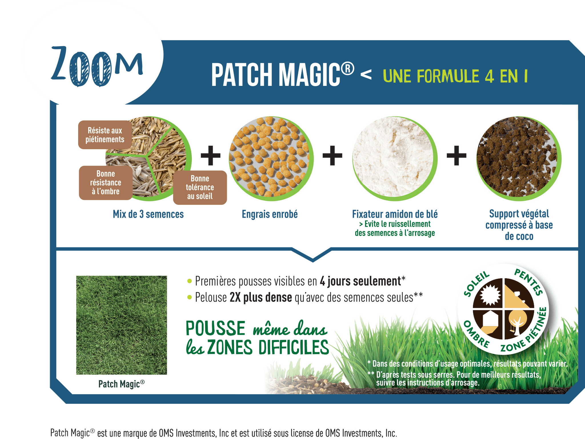 Fertiligène - Patch Magic rénovateur de gazon 4 en 1 - FERTILIGENE - Image 2