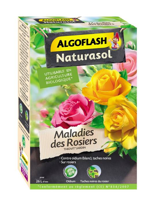 Algoflash - Maladies des rosiers fongicide - ALGOFLASH NATURASOL - Image 1