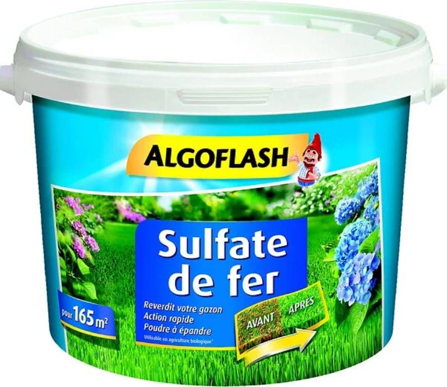 Algoflash - Appât Rats Campagnols Pâte 10g - ALGOFLASH - Image 1