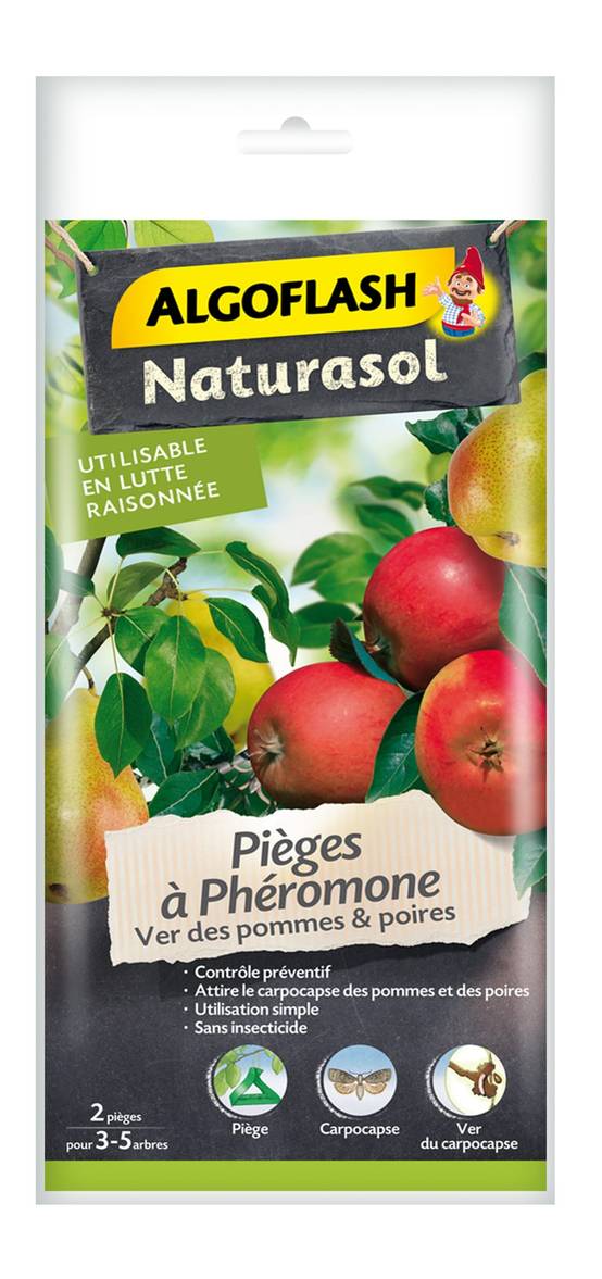 Algoflash Naturasol - Piège à Phéromone Pyrale du Buis - ALGOFLASH NATURASOL