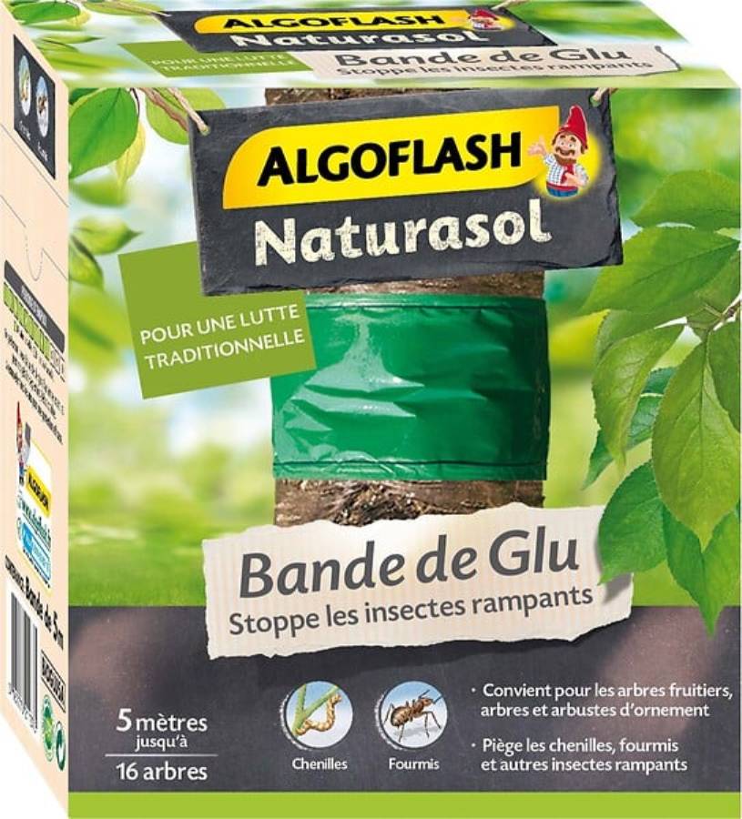 Algoflash Naturasol - Bande Engluée Résine ALGOFLASH NATURASOL