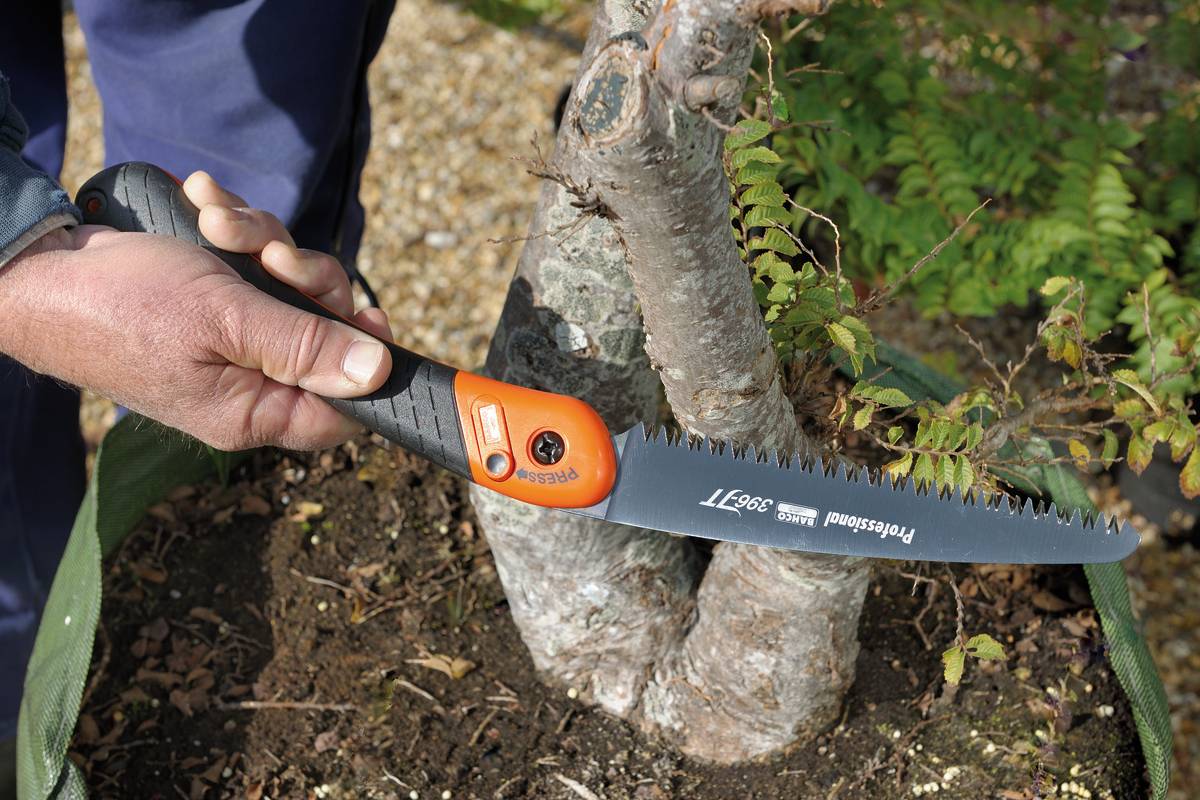 Bahco - Scie arboricole pliable – BAHCO - Imagen 2
