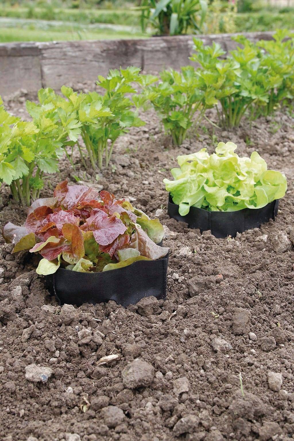 Nortène - BAG BIOCONTROL 10x10x12cm - Image 4