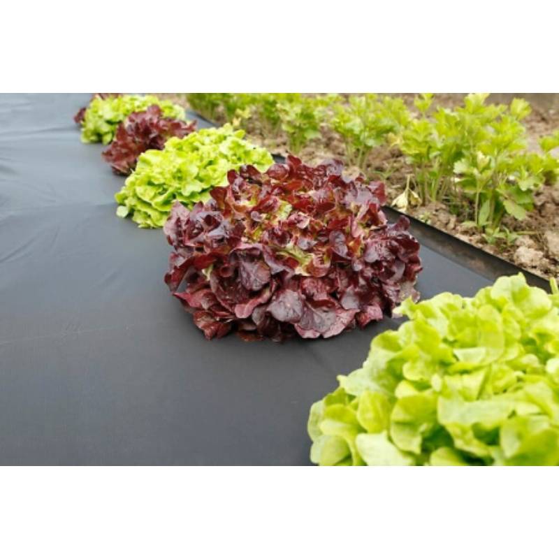 Nortène - MICROTEX Paillage micro alvéolé résistant noir 1,40x5m - Imagen 2