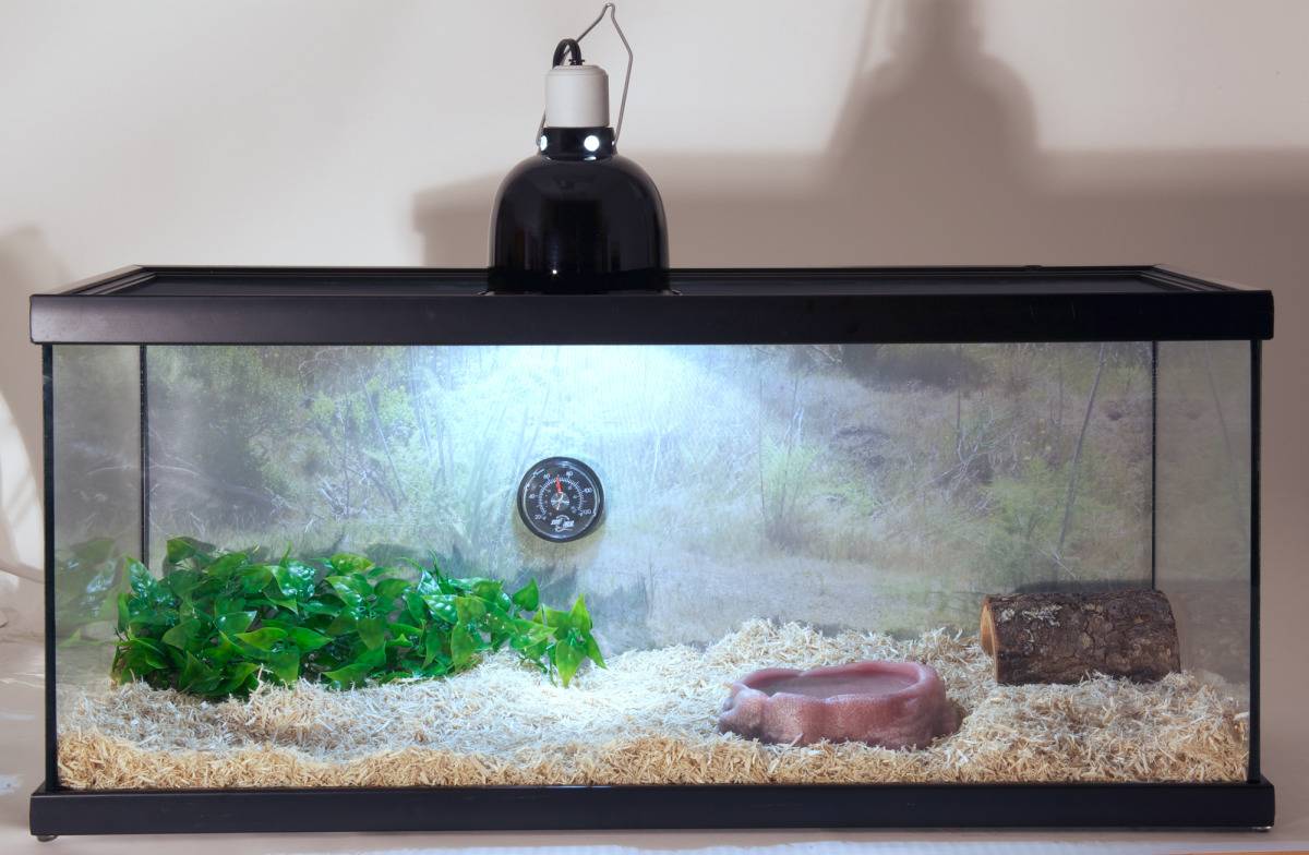 Zoomed - Zoomed - Kit habitat complet pour serpent - Imagen 2