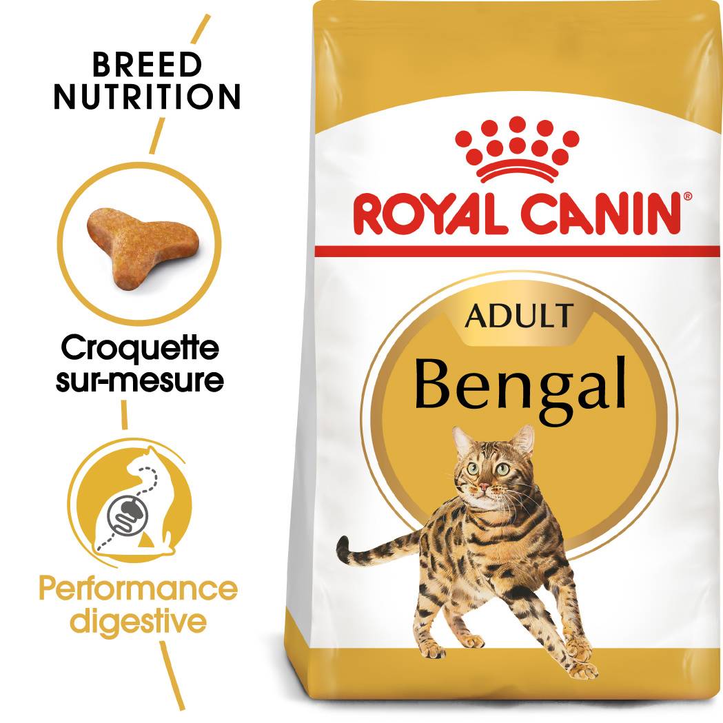 Royal Canin - Croquette pour chat Bengal - ROYAL CANIN